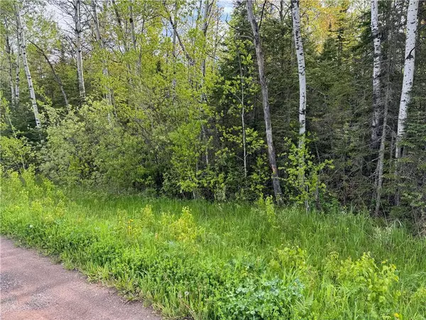 5.56 acres on Evergreen Road, Port Wing, WI 54865