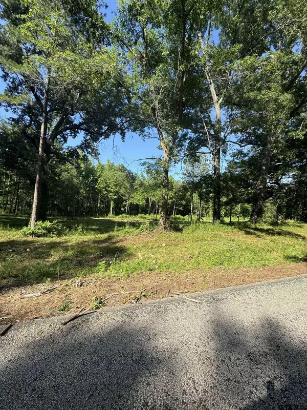 TBD FM 838, Overton, TX 75684