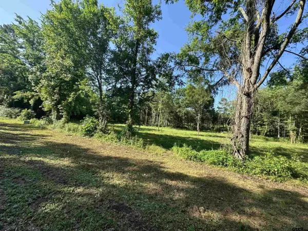 TBD FM 838, Overton, TX 75684