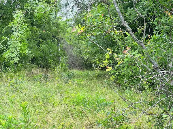 Lot 51 Horizon Ridge, Corsicana, TX 75109