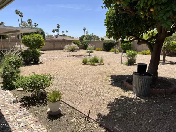 9820 N 102nd Drive, Sun City, AZ 85351