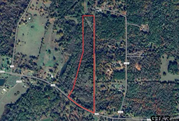 TBD FM 838, Overton, TX 75684