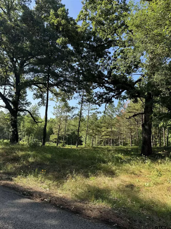 TBD FM 838, Overton, TX 75684