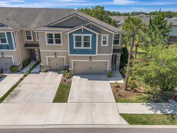 14303 PONDHAWK LN #50/G, Tampa, FL 33625