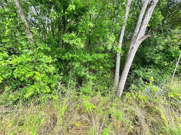 Lot 51 Horizon Ridge, Corsicana, TX 75109