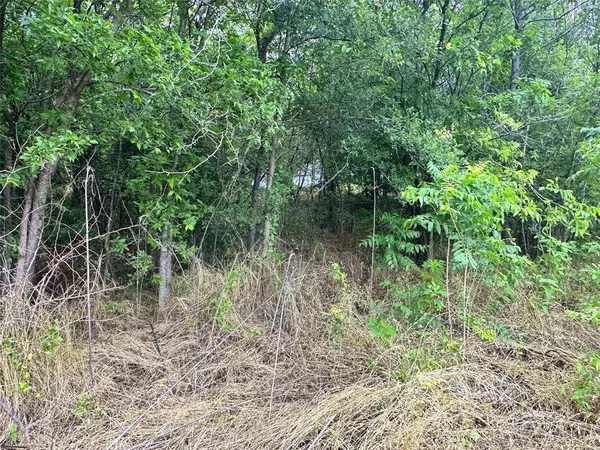 Lot 51 Horizon Ridge, Corsicana, TX 75109
