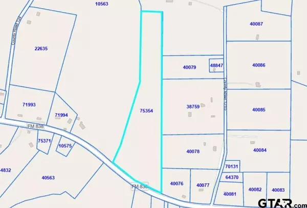 TBD FM 838, Overton, TX 75684