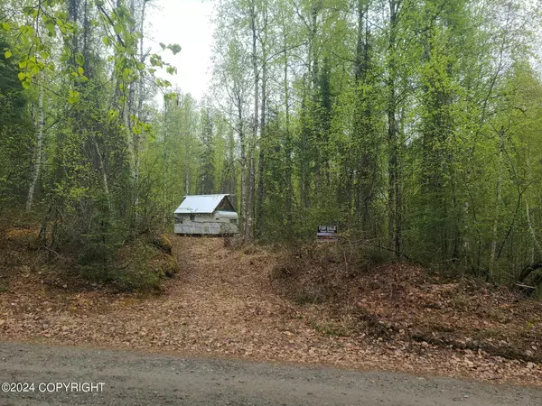 19154 E Bigone AVE, Willow, AK 99688