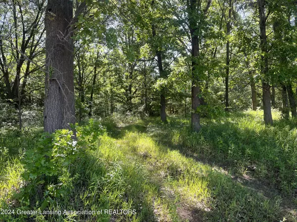 0 Houston Road, Eaton Rapids, MI 48827, Eaton Rapids, MI 48827