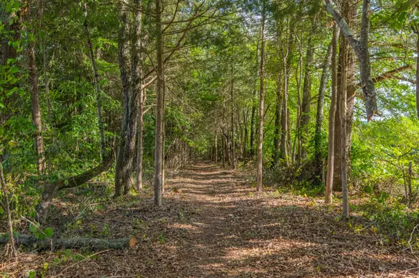 289 Van Has Ln, Winchester, TN 37398