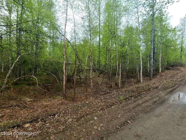 19154 E Bigone AVE, Willow, AK 99688