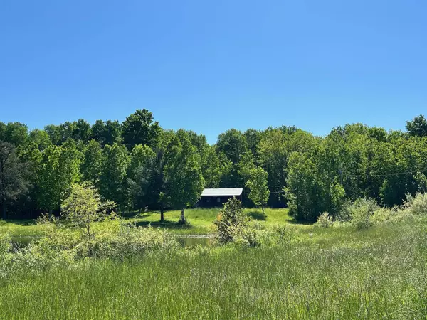 2386 Sunny Ridge Lane, Comins, MI 48619