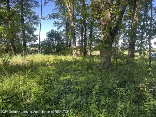 0 Houston Road, Eaton Rapids, MI 48827, Eaton Rapids, MI 48827