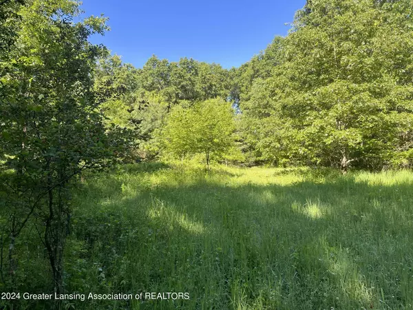 0 Houston Road, Eaton Rapids, MI 48827, Eaton Rapids, MI 48827