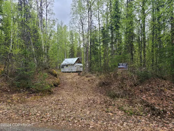 19154 E Bigone AVE, Willow, AK 99688