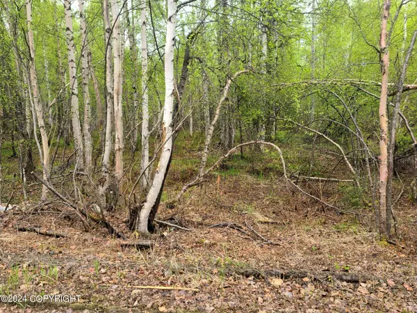 19154 E Bigone AVE, Willow, AK 99688