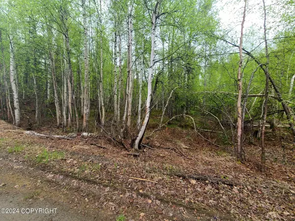 19154 E Bigone AVE, Willow, AK 99688