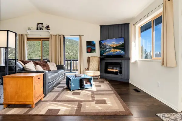 1371 County Road 6, Alma, CO 80420