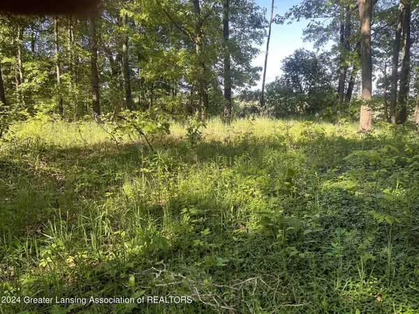 0 Houston Road, Eaton Rapids, MI 48827, Eaton Rapids, MI 48827