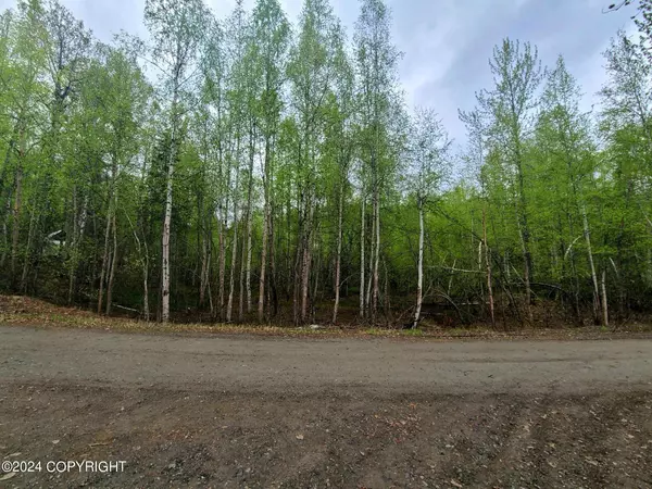 19154 E Bigone AVE, Willow, AK 99688