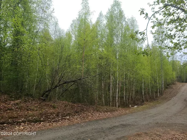 19154 E Bigone AVE, Willow, AK 99688