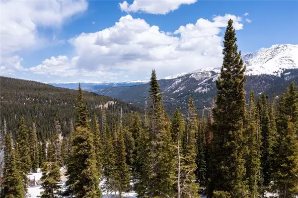 356 Hamilton Lane, Breckenridge, CO 80424