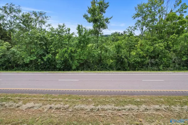 45.57 acres Holladay Road, Danville, AL 35619