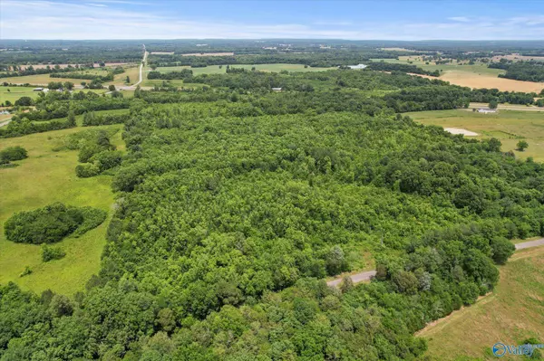 45.57 acres Holladay Road, Danville, AL 35619