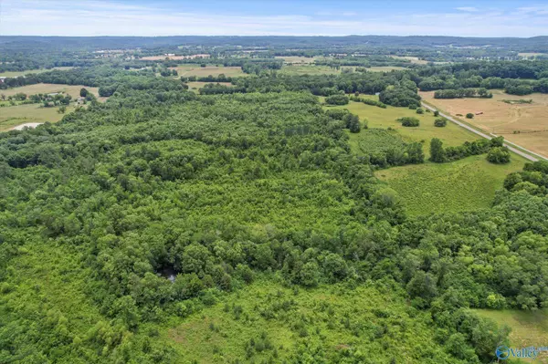 45.57 acres Holladay Road, Danville, AL 35619