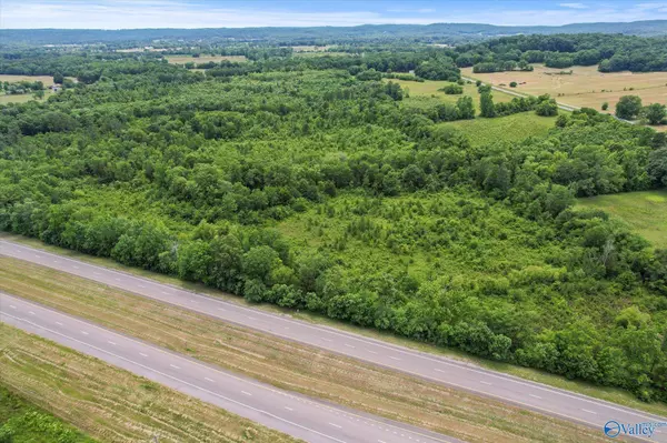 45.57 acres Holladay Road, Danville, AL 35619