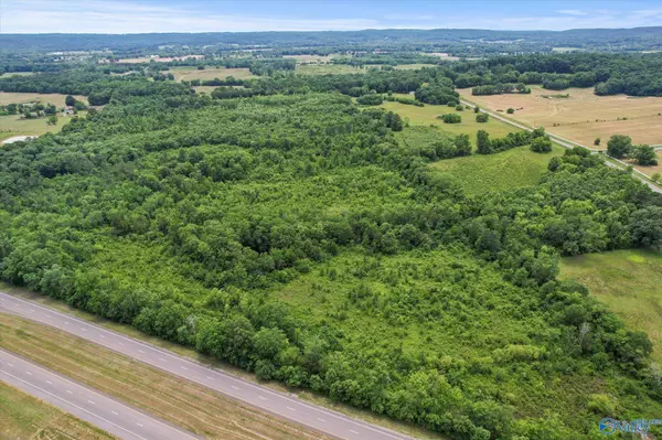 45.57 acres Holladay Road, Danville, AL 35619