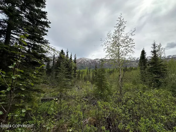 38145 Raymond AVE, Chugiak, AK 99567