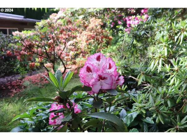 91061 LEASHORE DR, Vida, OR 97488