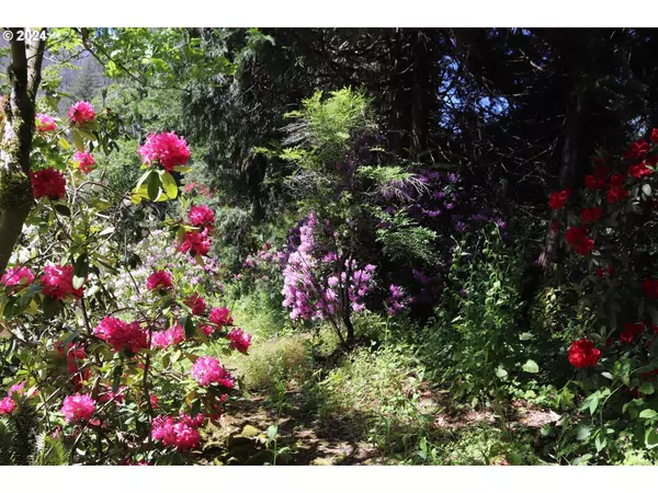 91061 LEASHORE DR, Vida, OR 97488