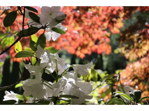 91061 LEASHORE DR, Vida, OR 97488