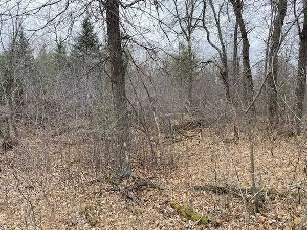 TBD 225th AVE NW, Elk River, MN 55330