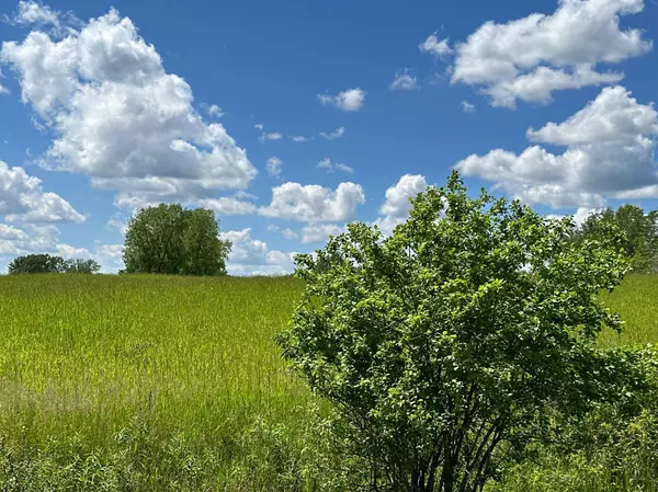 21XXX Harrow AVE N, Forest Lake, MN 55025