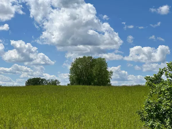 21XXX Harrow AVE N, Forest Lake, MN 55025