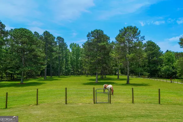 11 Appaloosa CT, Taylorsville, GA 30178