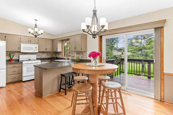 16234 Fairgreen AVE, Lakeville, MN 55068