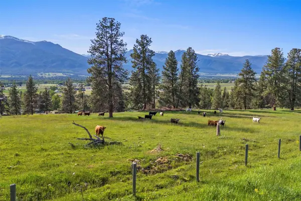 Tract A-3 Pine Hollow RD, Stevensville, MT 59870