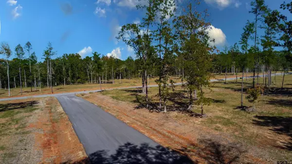 15975 Aniston Ln - (LOT 10), Flint, TX 75762