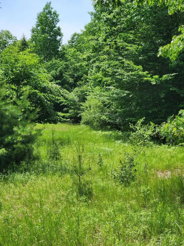 64 Opal Ridge Drive, Onekama, MI 49675