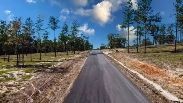 16077 Aniston Ln - (LOT 12), Flint, TX 75762