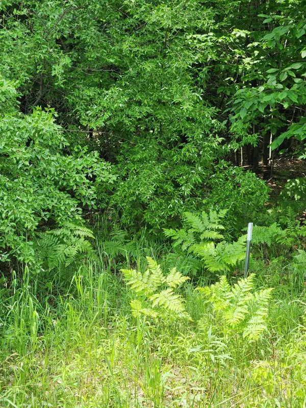 64 Opal Ridge Drive, Onekama, MI 49675