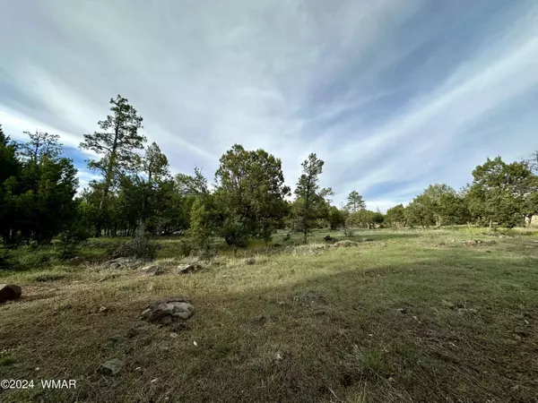 5029 Deer VLY, Lakeside, AZ 85929