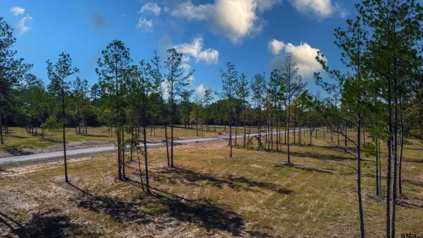 15589 Aniston Ln - (LOT 3), Flint, TX 75762