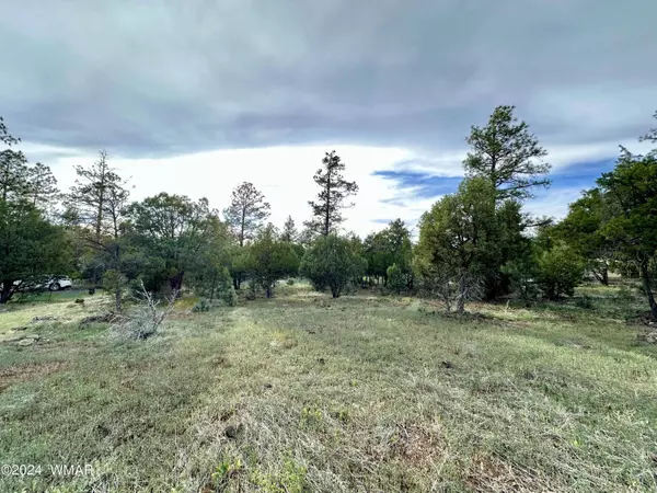 5029 Deer VLY, Lakeside, AZ 85929