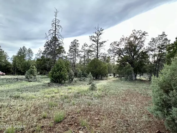 5029 Deer VLY, Lakeside, AZ 85929