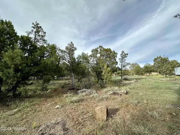 5029 Deer VLY, Lakeside, AZ 85929
